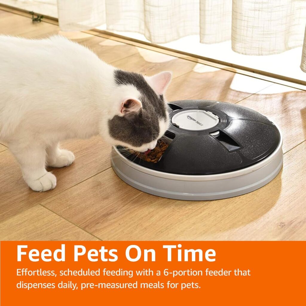 Amazon timed pet feeder