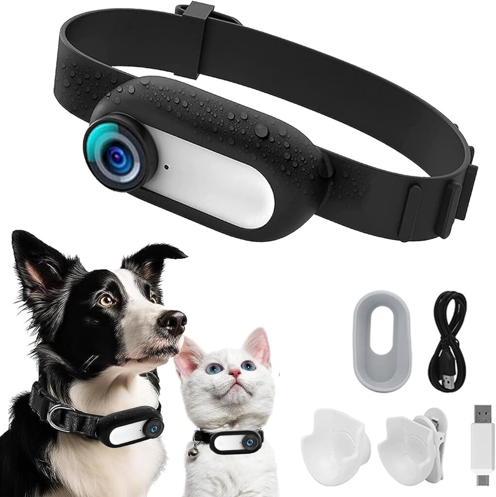 Sport camera for pets