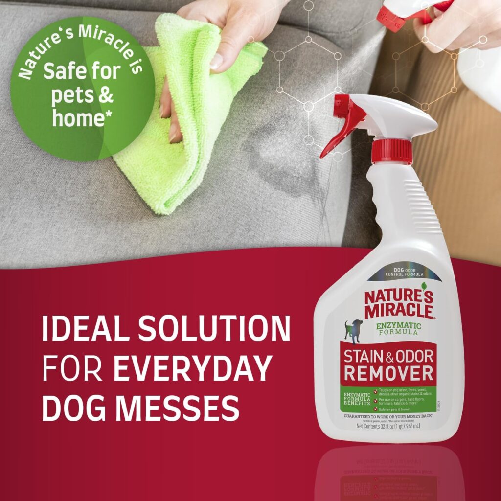 dog stain and odor remover